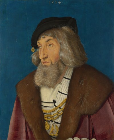 Porträt eines Mannes von Hans Baldung Grien